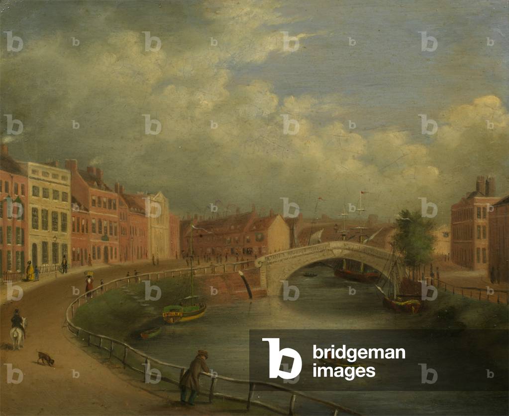 View of Wisbech from Bank House