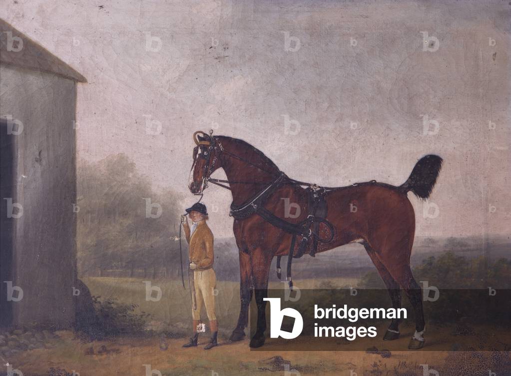 Boy leading a Horse