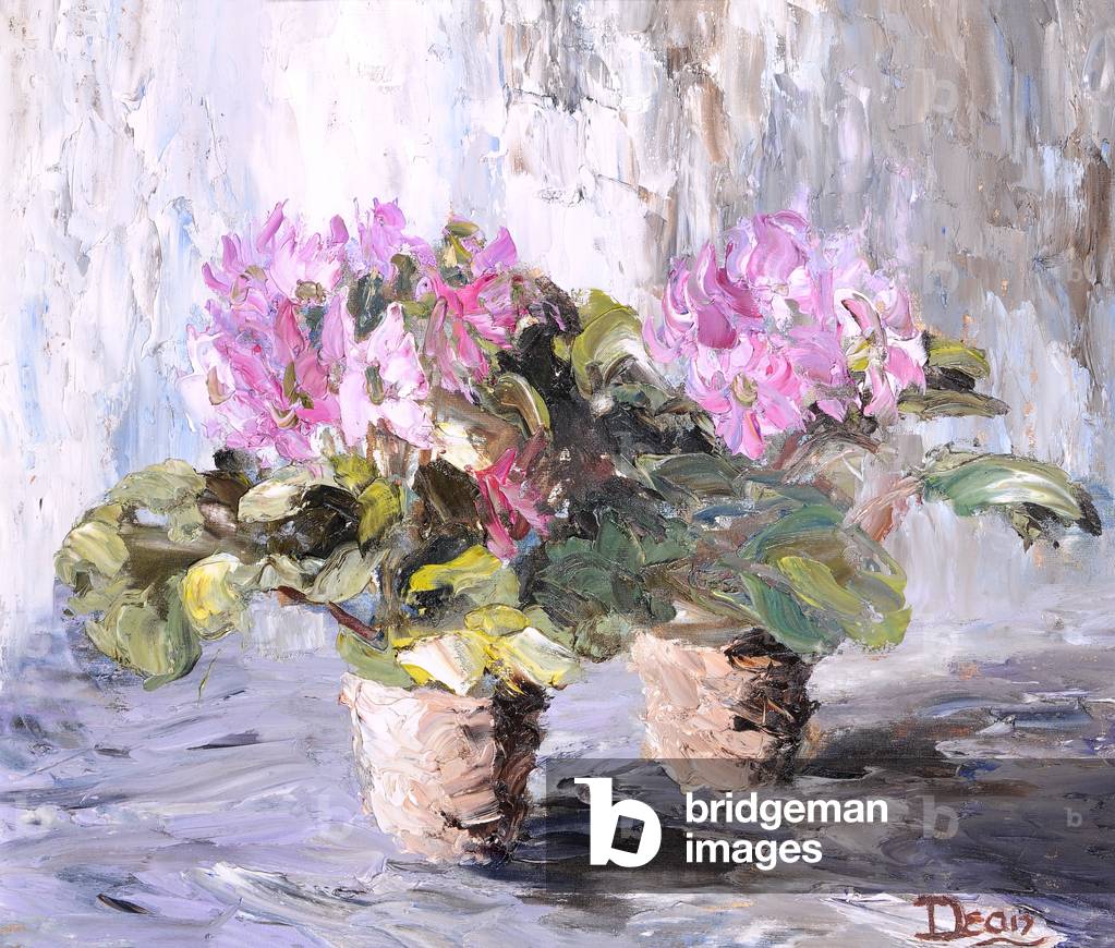 Still Life of Cyclamen in Pots (oil on board)