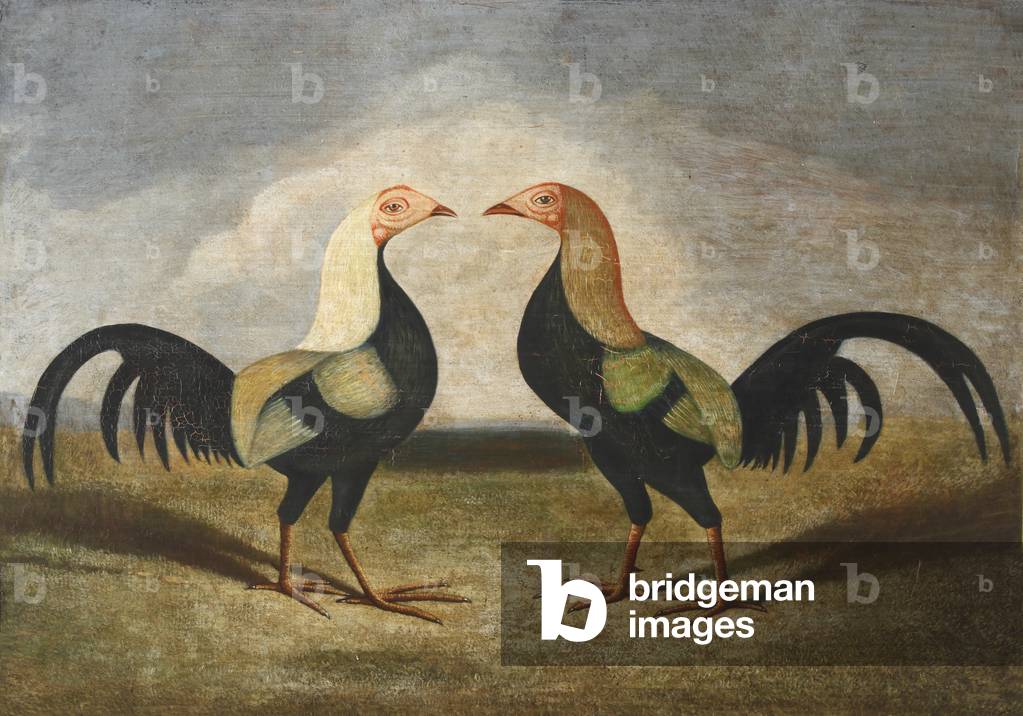 Pair of Fighting Cocks