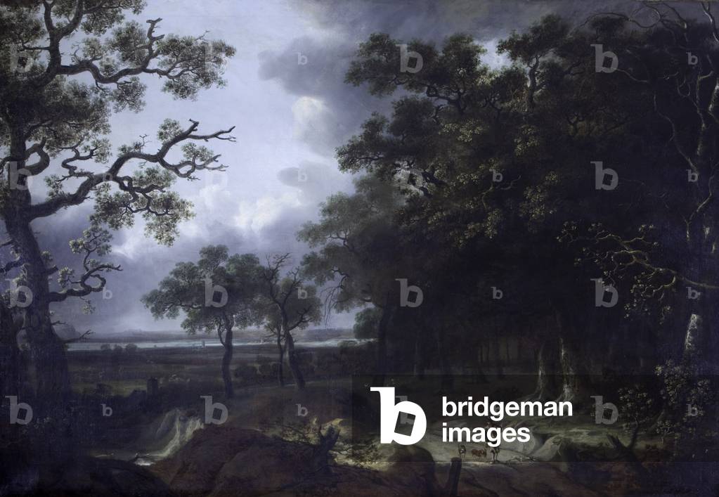 Wooded Landscape
