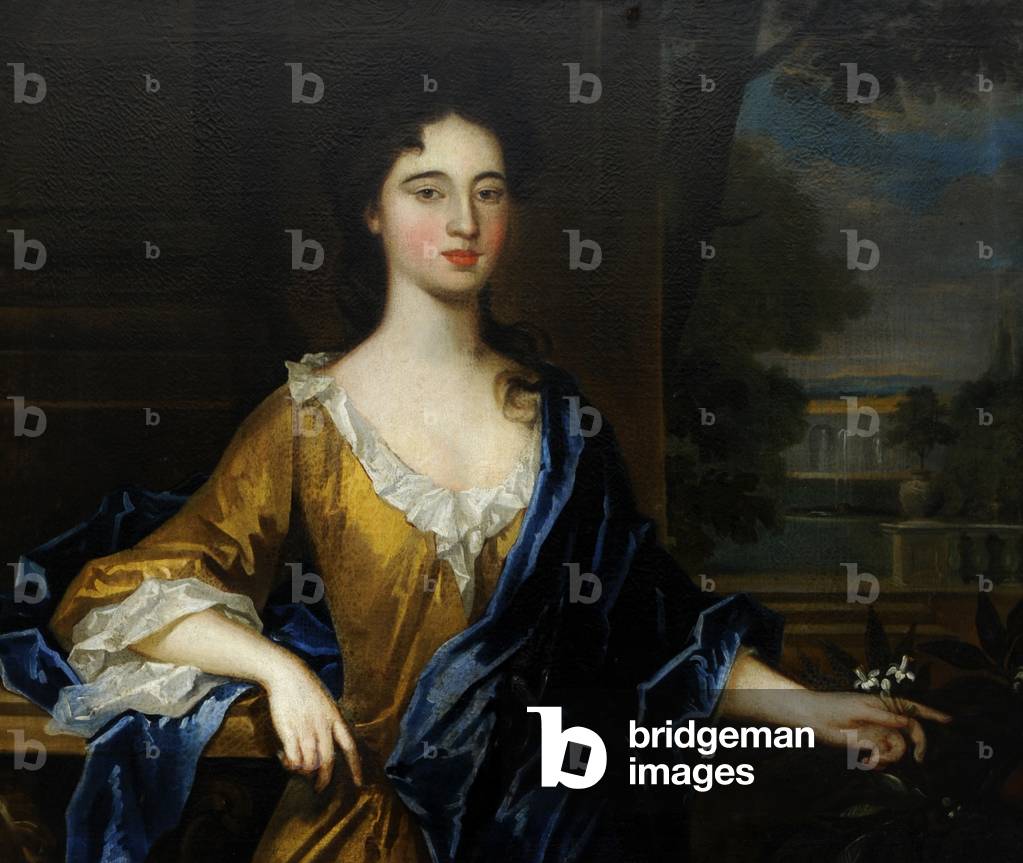 An Unknown Lady in Gold and Blue
