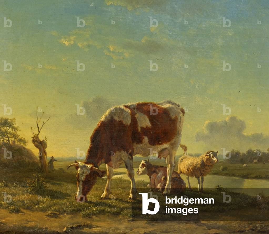 Cattle and Sheep by a River