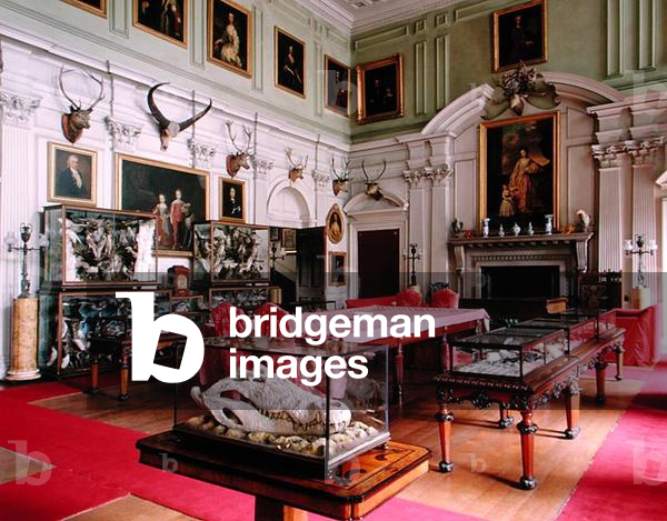 The Saloon, Calke Abbey, Derbyshire (photo)