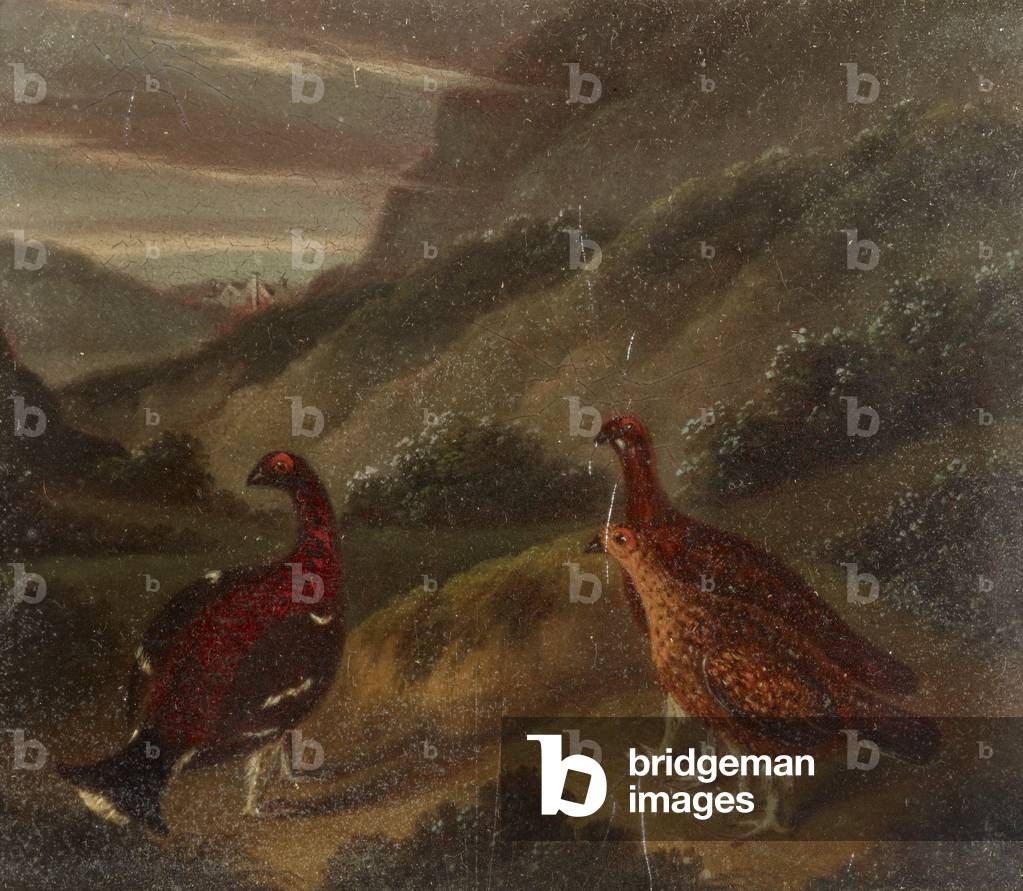 Landscape with Three Grouse