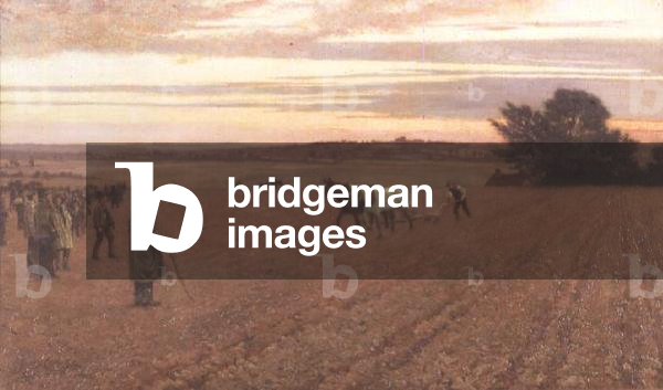 The Ploughing Match