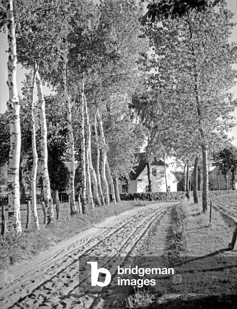 View to Follendorf near Vistula Lagoon, East Prussia, 1930s (b/w photo)