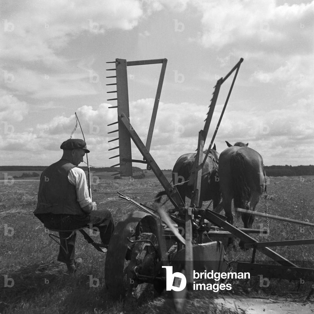 A farmer working onhis field in Masuria in East Prussia, Germany 1930s (b/w photo)