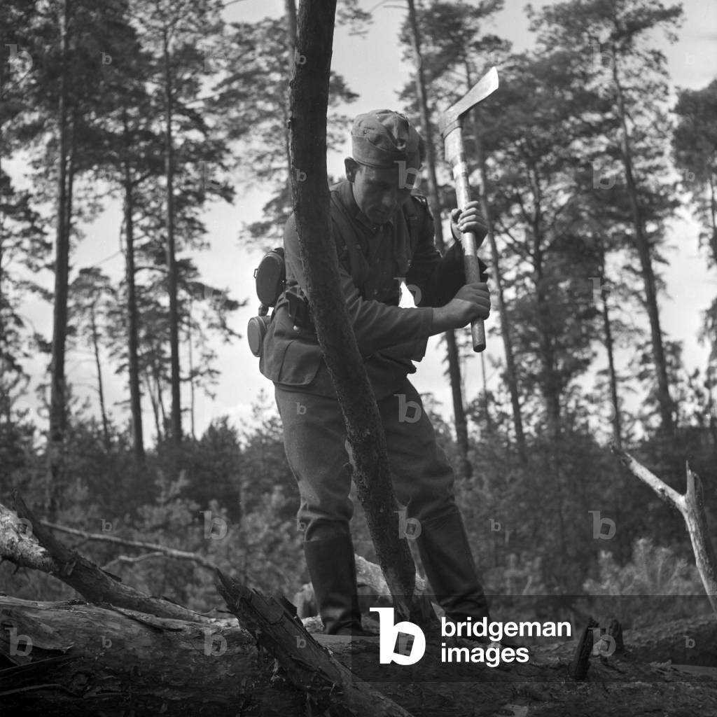 Eliminating a trunk barricade, the soldier of military engineering has to use the axe and the saw as well, Germany 1940s (b/w photo)