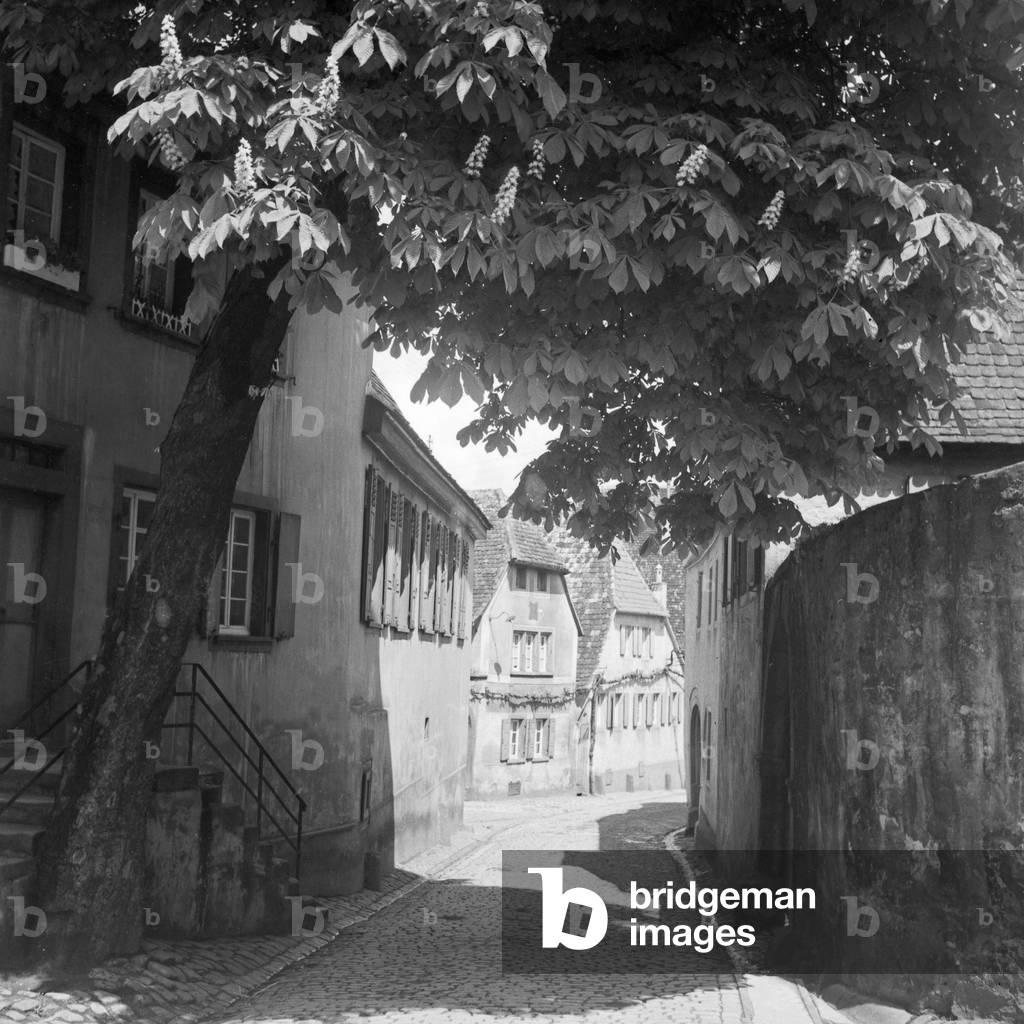 Scenic view to a little lane at Hambach in the Weinstrasse region, Germany 1930s (b/w photo)