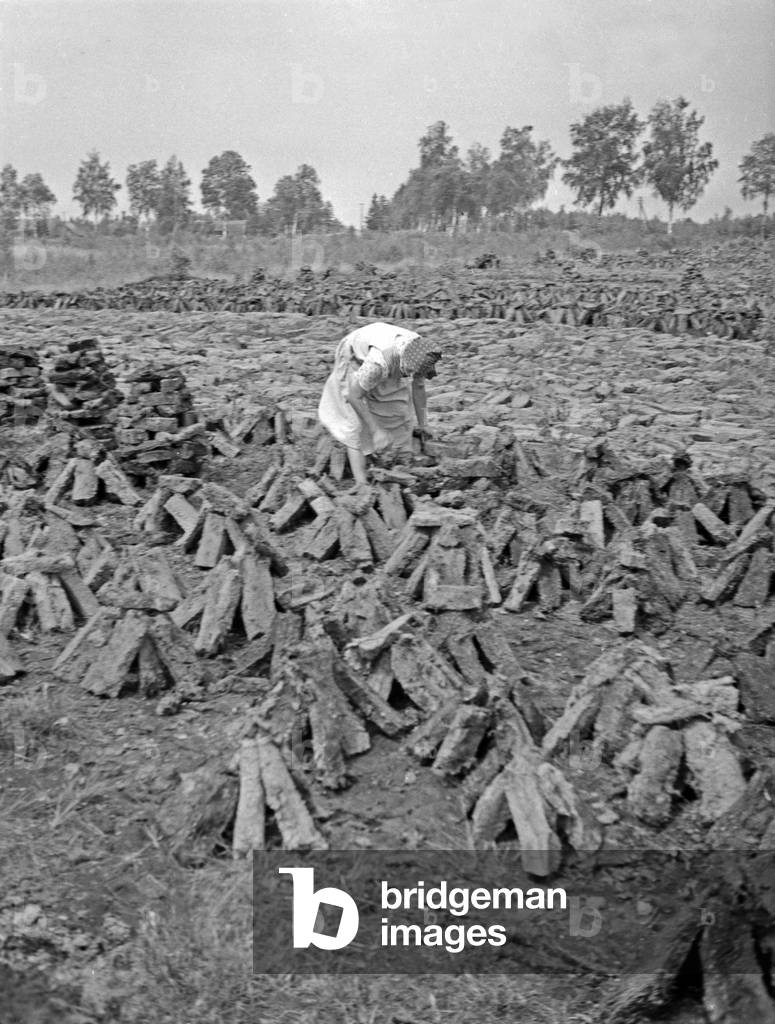 A women checking some drying turf, East Prussia, 1930s (b/w photo)