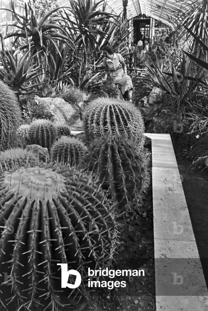A trip to Stuttgart, Germany 1930s (b/w photo)