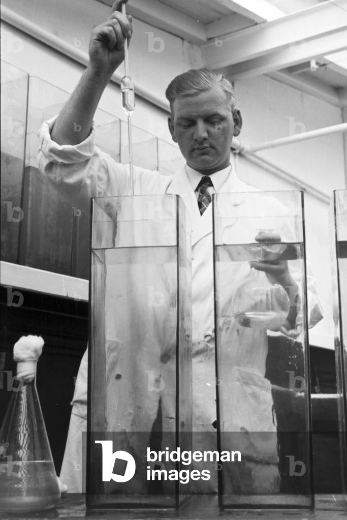 Scientific research in the German Bight, Germany 1930s (b/w photo)