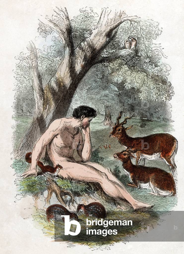 Man and Nature.  Frontispiece from 