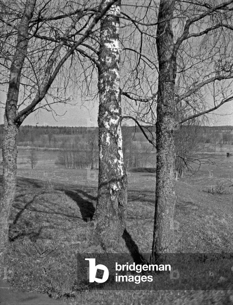 Before springtime in Masuria, East Prussia, 1930s (b/w photo)