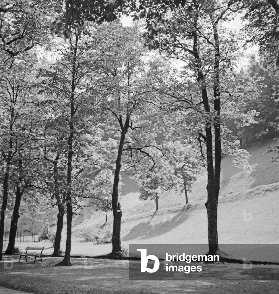 At the climatic spa Bad Rippoldsau Schapbach in the Black Forest region, Germany 1930s (b/w photo)