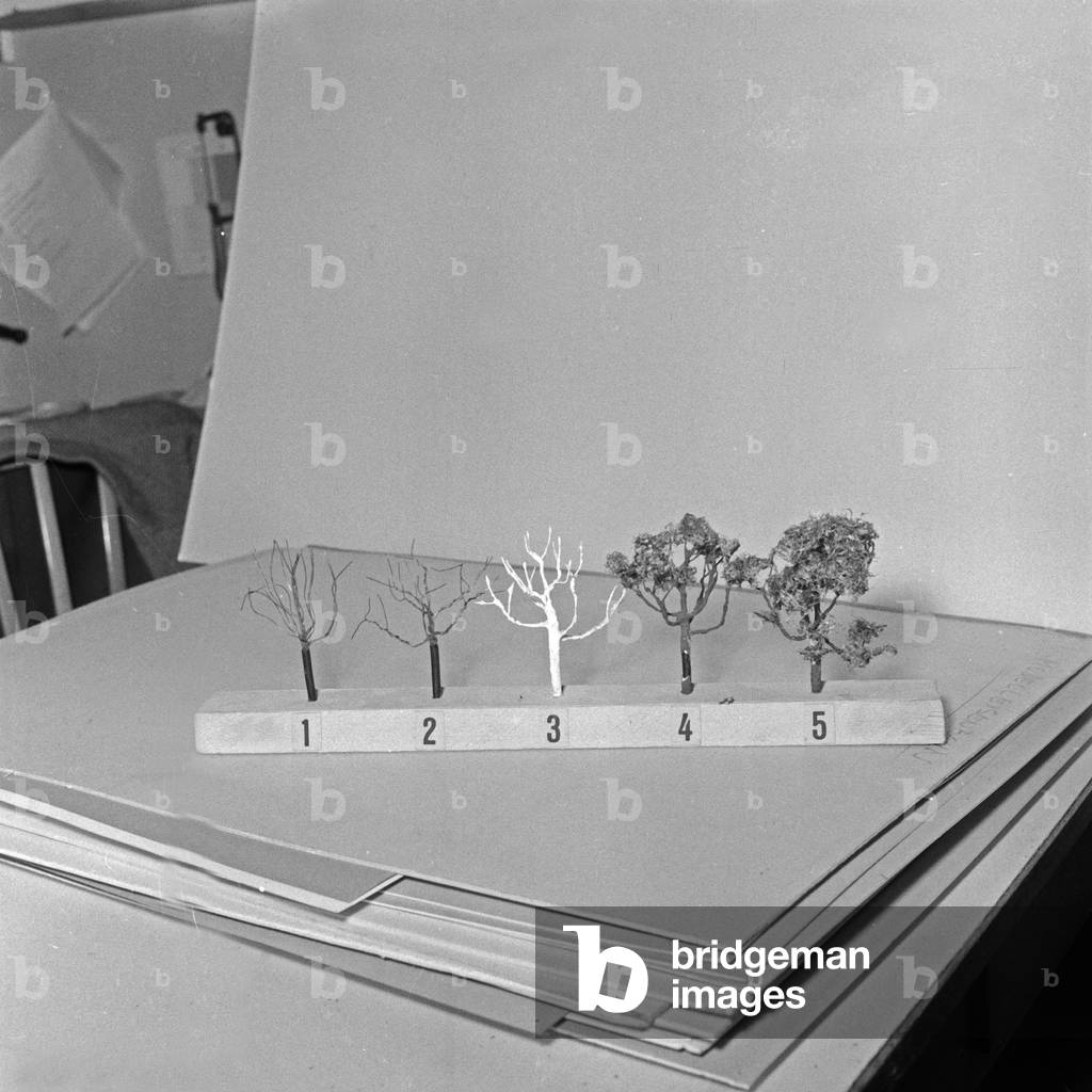 Five steps of modeling a tree for your model train, Germany 1950s