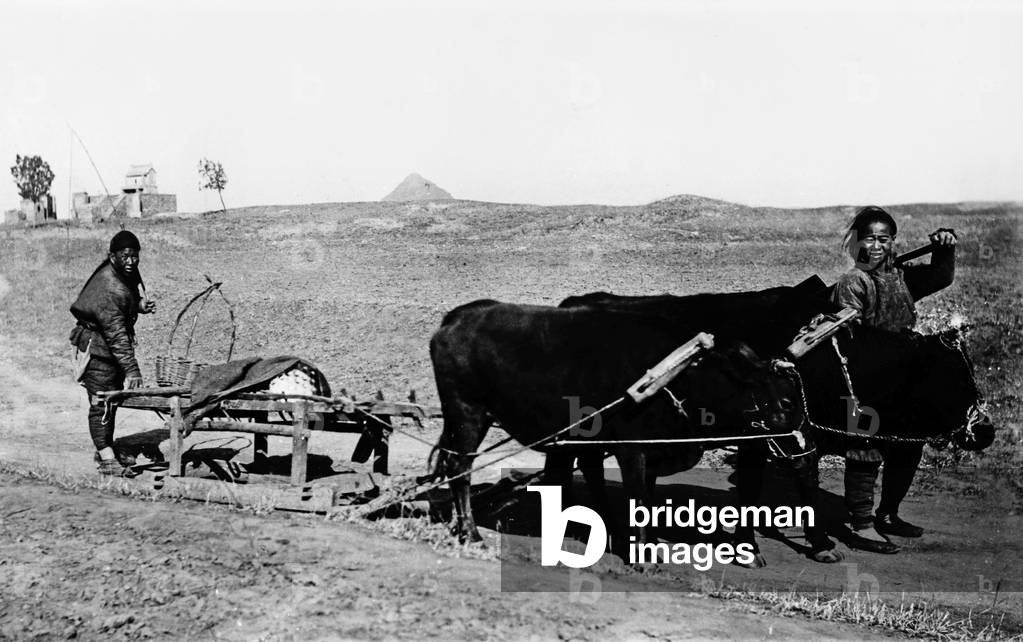 A farmer ploughing his field, China 1910s