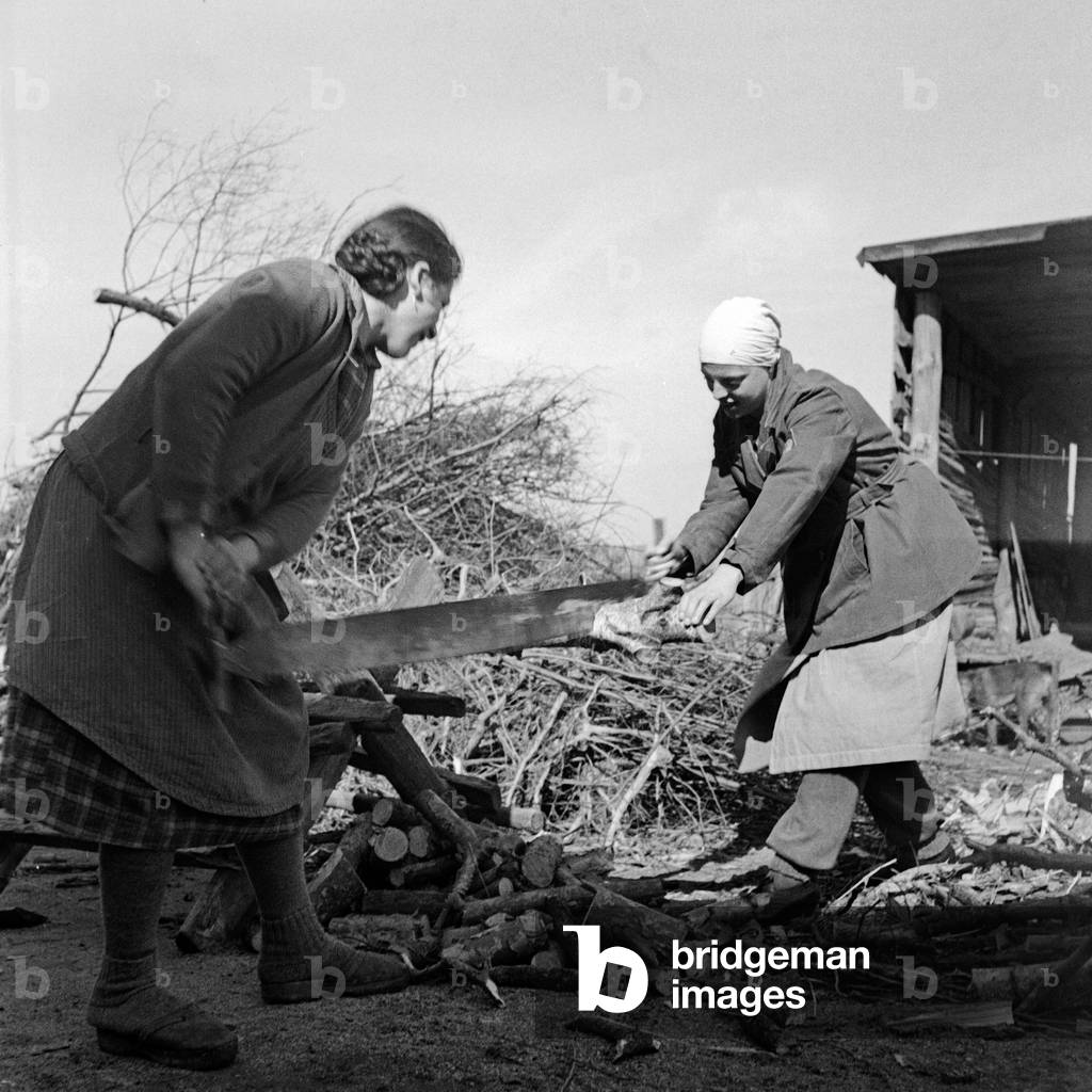 Two women sawing firewood at the female workforce group of Molkenberg, Germany 1930s (b/w photo)
