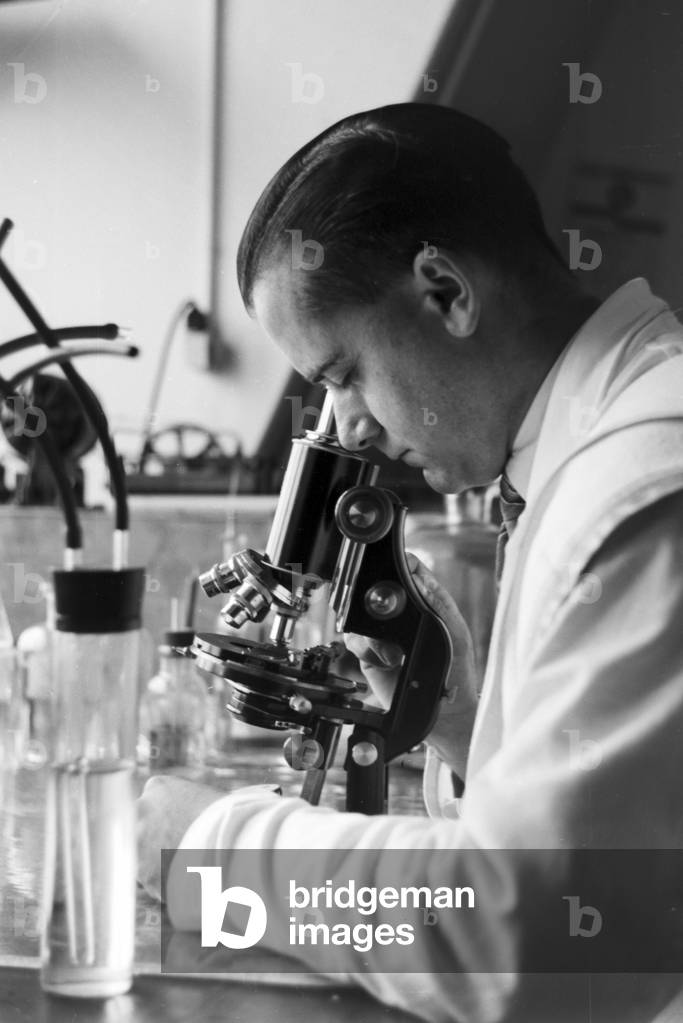 Scientific research in the German Bight, Germany 1930s (b/w photo)