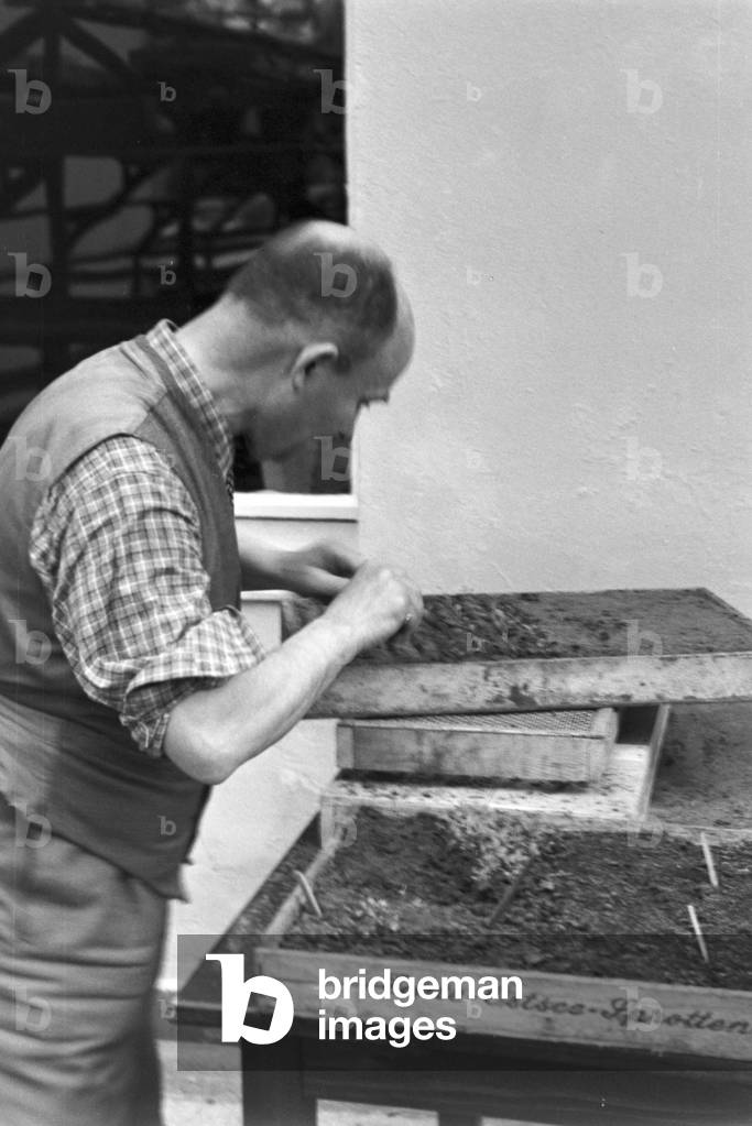 Scenes from everyday life of a agricultural firm, Germany 1930s (b/w photo)