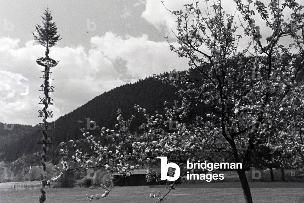 An excursion to Hirschhorn next to the Neckar, Germany 1930s (b/w photo)