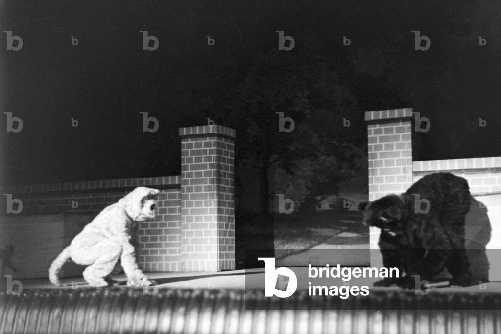 Performing artists during an evening show in Karlsbad, Germany 1930s (b/w photo)