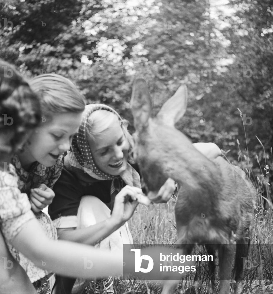 Three young women with a fawn at Wilhelma zoological garden in Stuttgart, Germany 1930s (b/w photo)