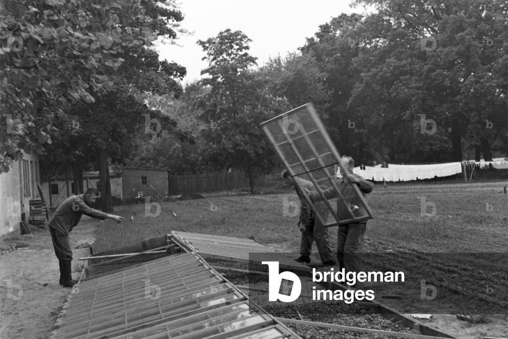 Scenes from everyday life of a agricultural firm, Germany 1930s (b/w photo)