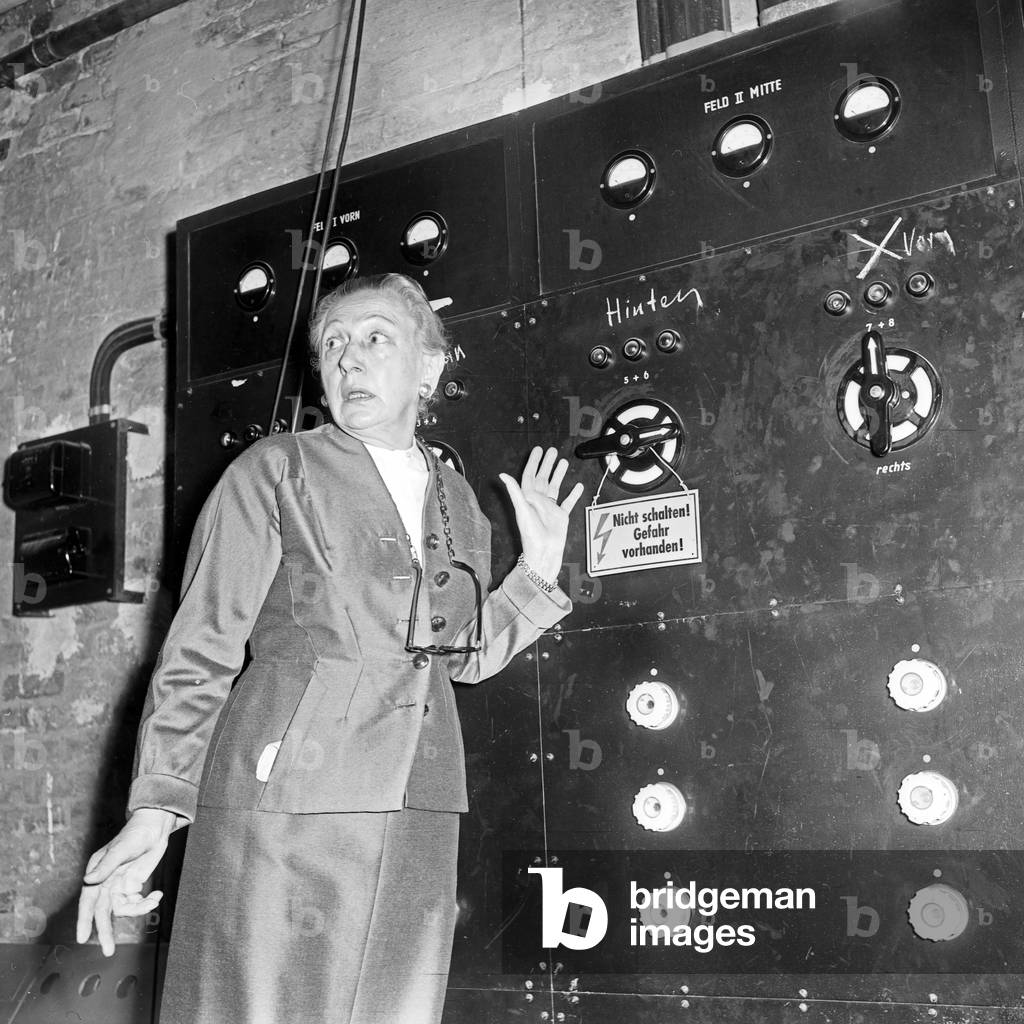 Windhund und Seehund