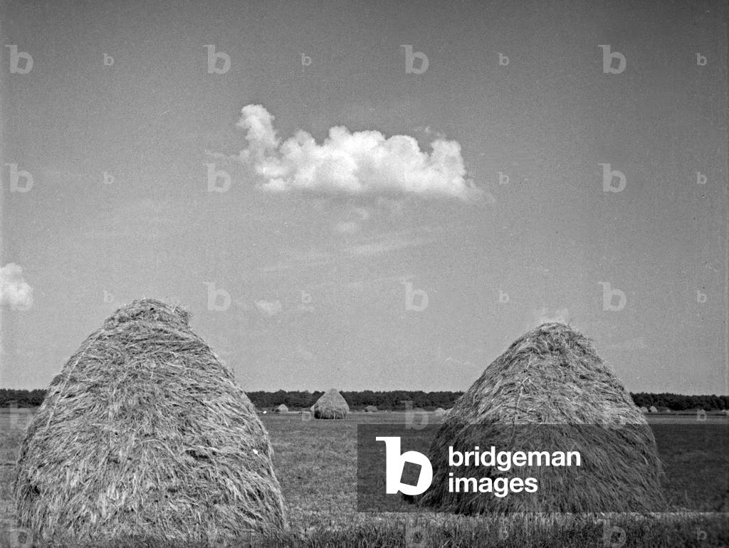 Meadows near the Courland Lagoon in the Memel delta, East Prussia, 1930s (b/w photo)