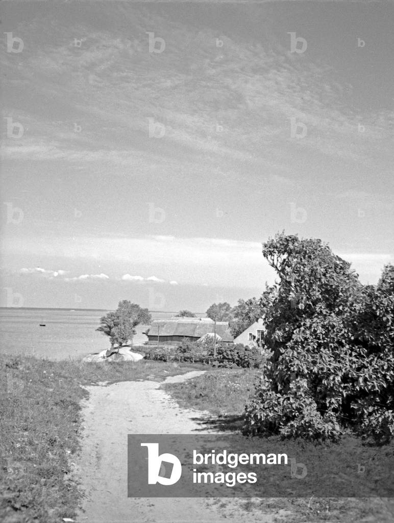 The street to the village Kahlholz near Vistula Lagoon, East Prussia, 1930s (b/w photo)