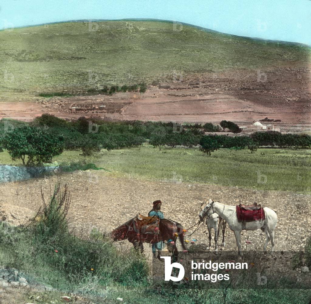 Mount Ebal, near Sechem, 1920s