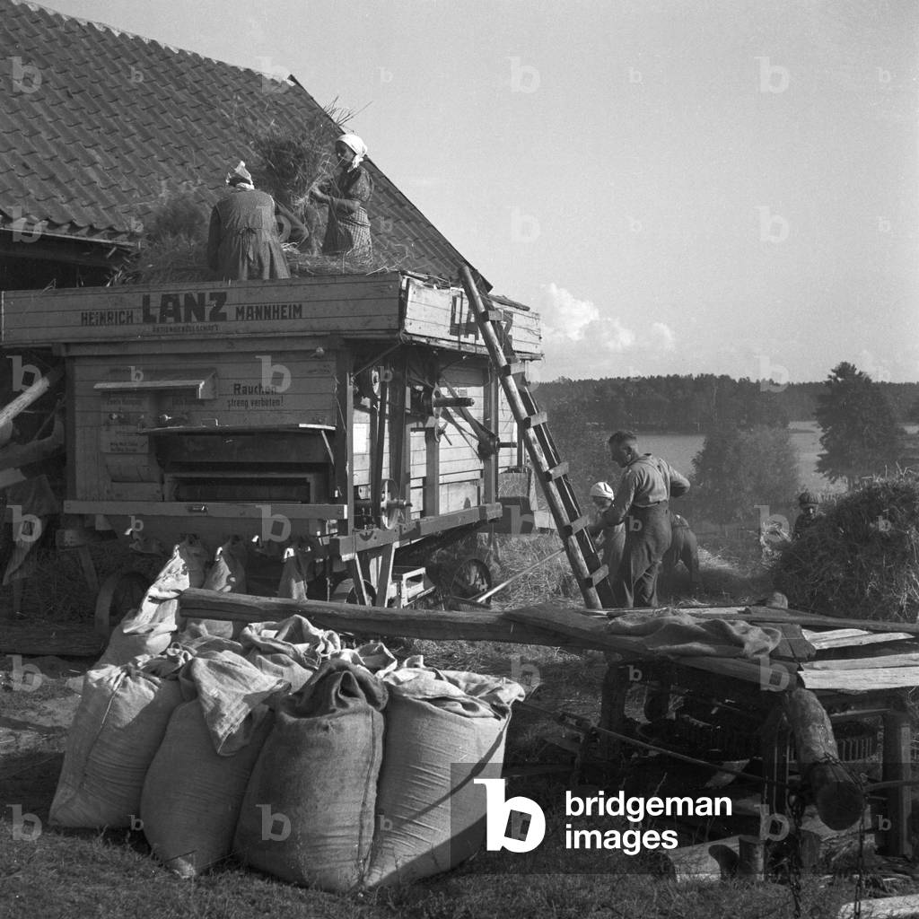 Farmers doing the hay harvest at East Prussia, Germany 1930s (b/w photo)