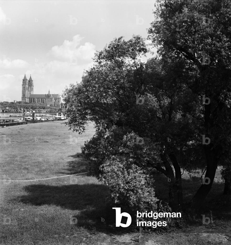 Landscape with the Magdeburg cathedral, Germany 1930s (b/w photo)