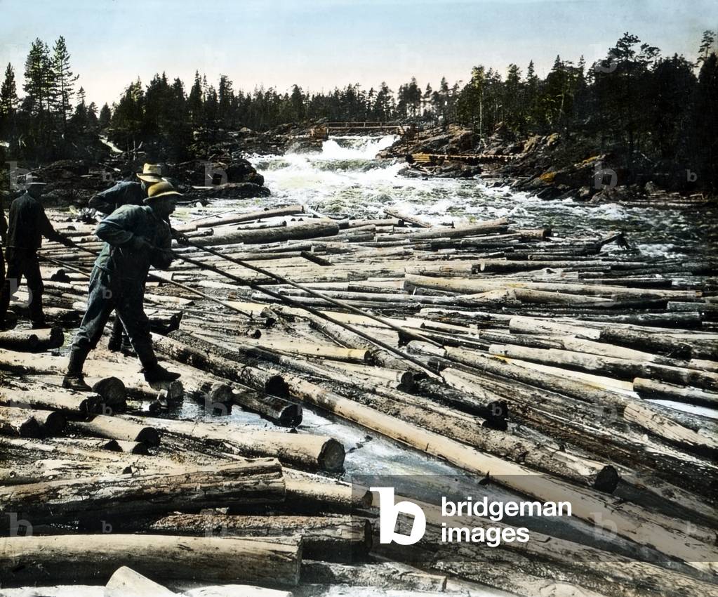 Rafting of timber on a river in Finland, 1920s