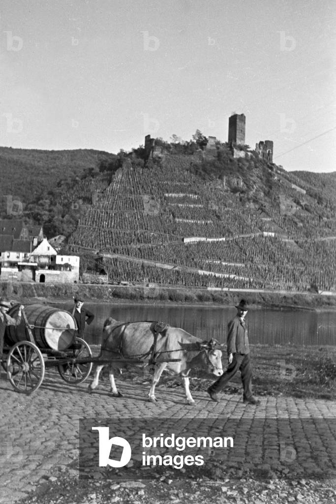 Winegrowers on their way to work, Germany 1930s (b/w photo)