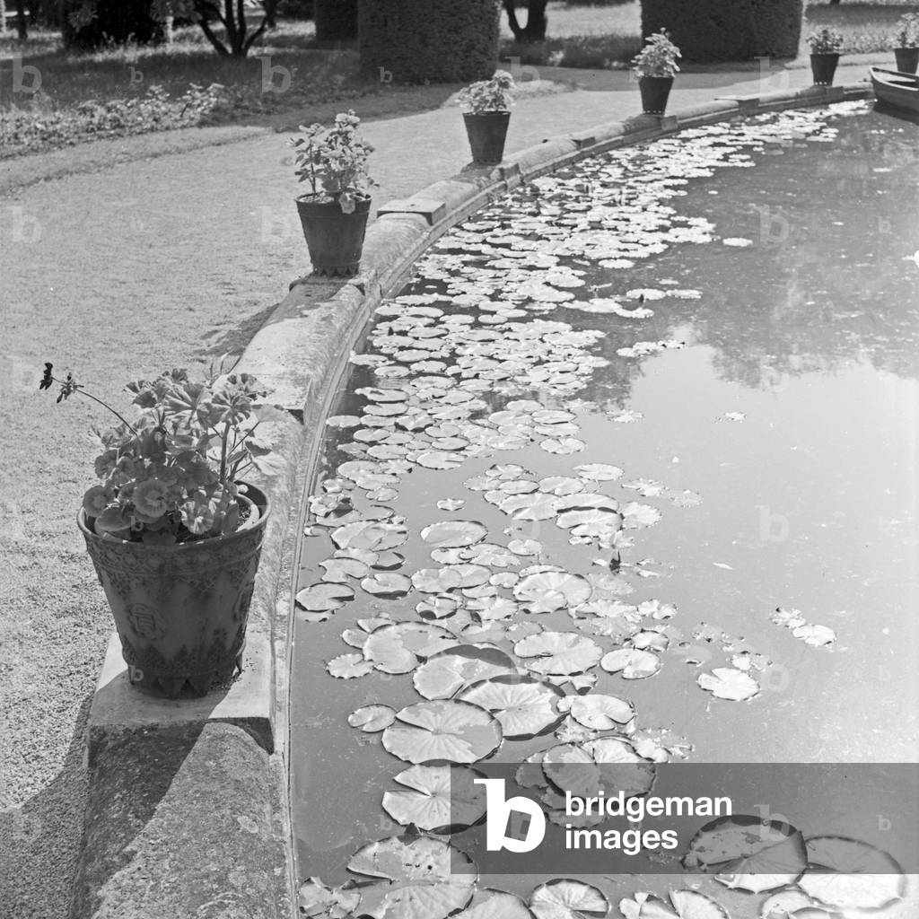 Scenic pond with water lilies at Bad Cannstatt, Germany 1930s (b/w photo)