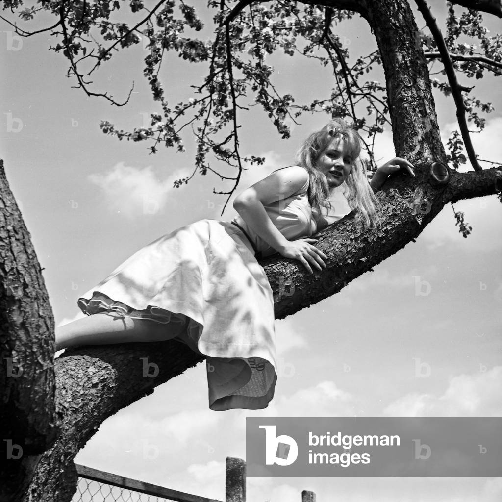 German actress Karin Stoltenfeldt on a tree, Germany 1950s