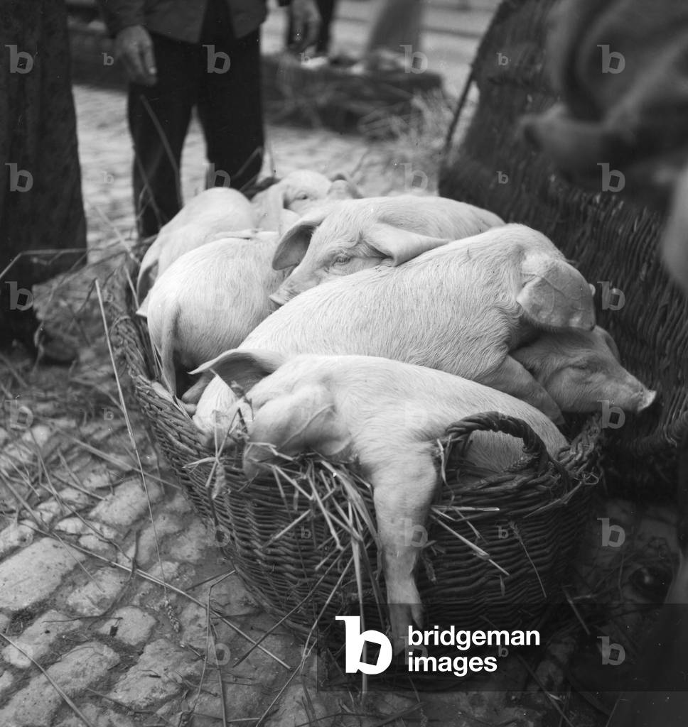 Summer in the countryside, Germany 1930s (b/w photo)