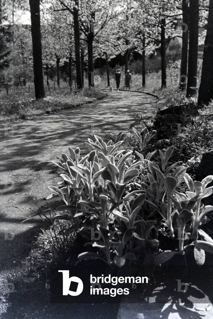 Two ladys in the spa gardens Hirsau, Black Forest, Germany 1930s (b/w photo)