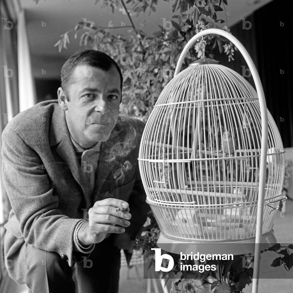 The British singer, actor, radio and TV presenter Chris Howland having a cigarette beside a bird's cage, Hamburg 1960s