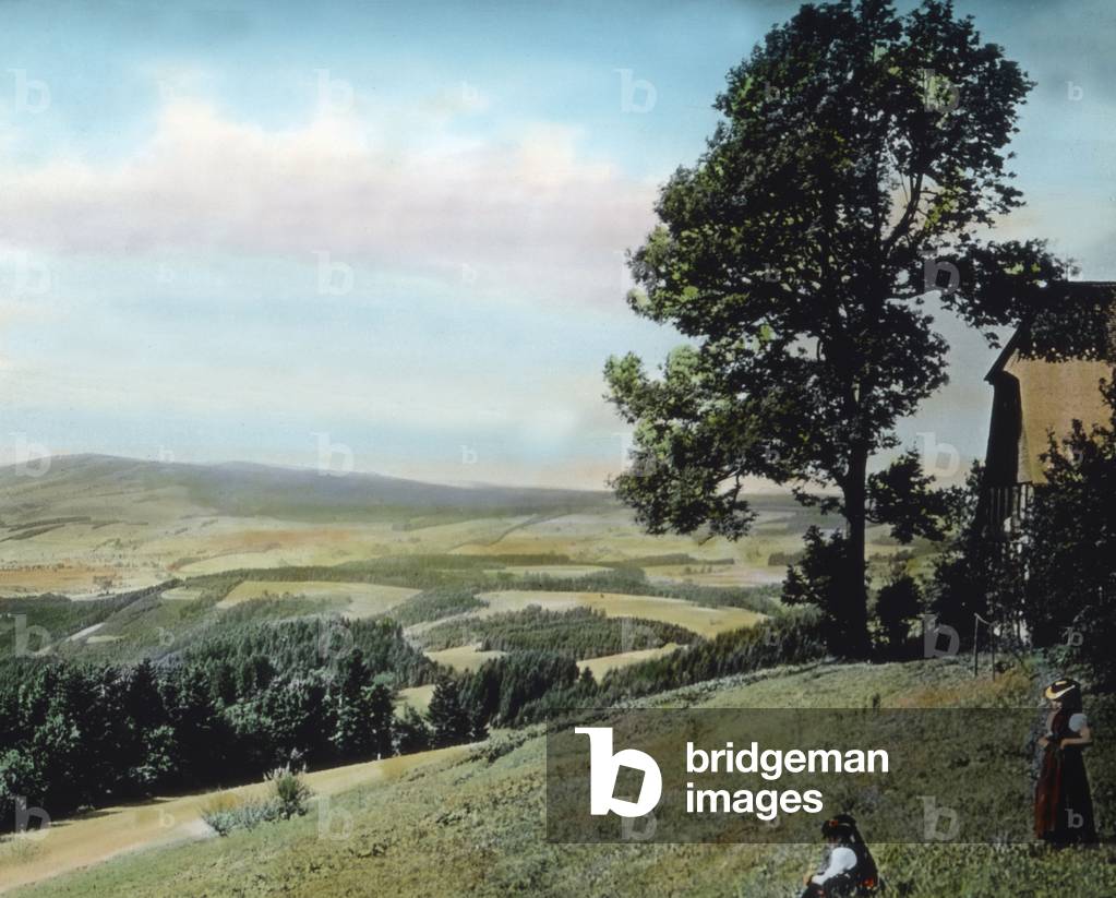 Between Hinterzarten and St. Märgen