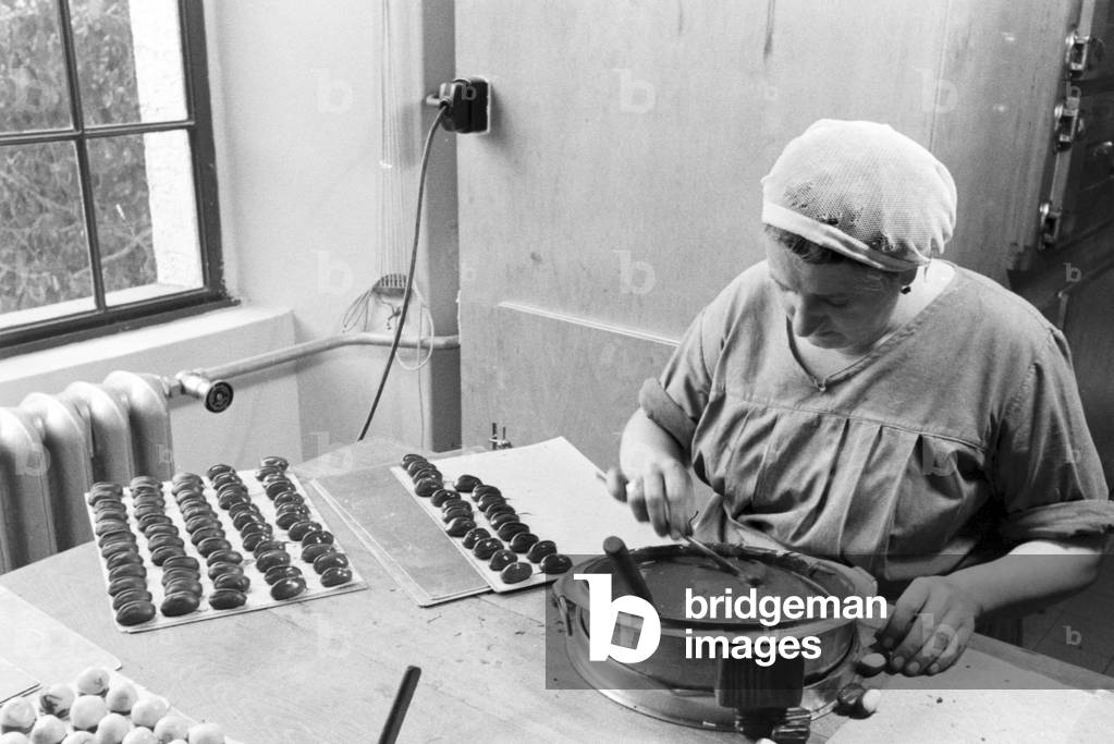 A trip to the town hall of Vienna, Germany 1930s (b/w photo)