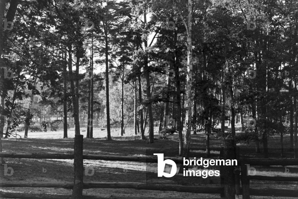 At a Munich public garden, Germany 1930s (b/w photo)