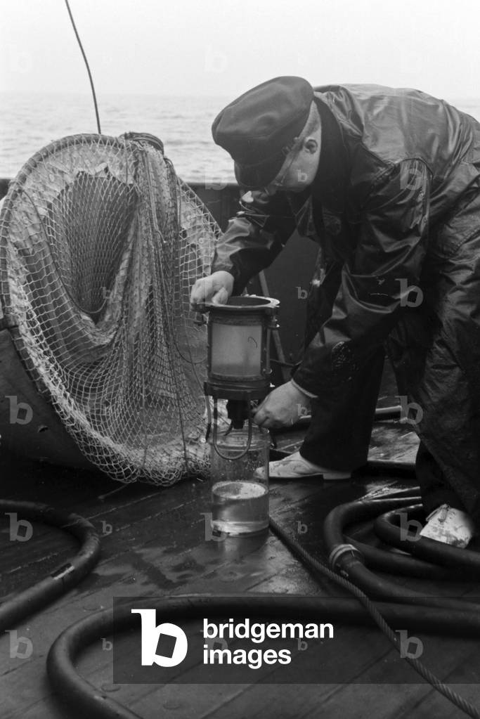 Mackerel fishing near Heligoland at the North Sea, Germany 1940s (b/w photo)