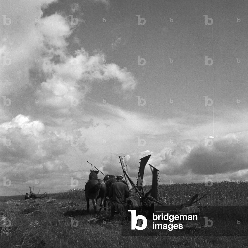 A farmer working onhis field in Masuria in East Prussia, Germany 1930s (b/w photo)