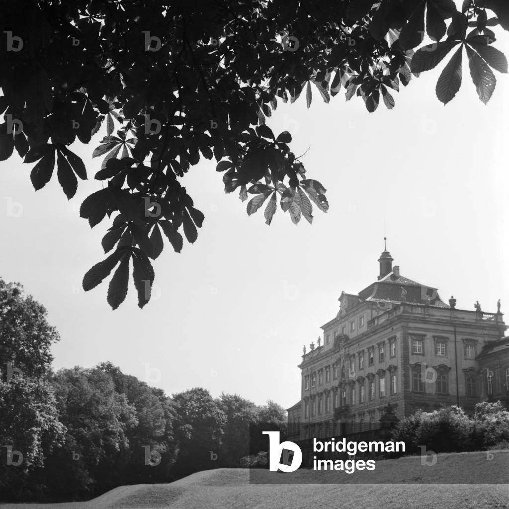 Chestnut trees around Ludwigsburg castle near Stuttgart, Germany 1930s (b/w photo)