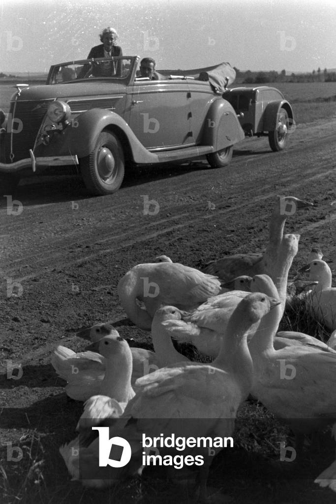 Animals you see on vacation, Germany 1930s (b/w photo)