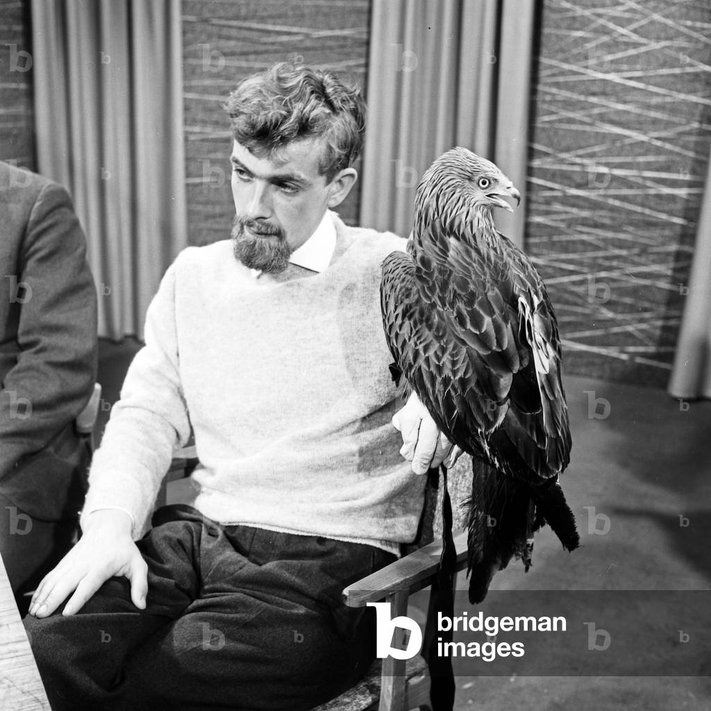 Talk show with Gert Lange (?) about ornithologial research at Teufelsmoor swamp area in the North of Bremen, Germany 1960s